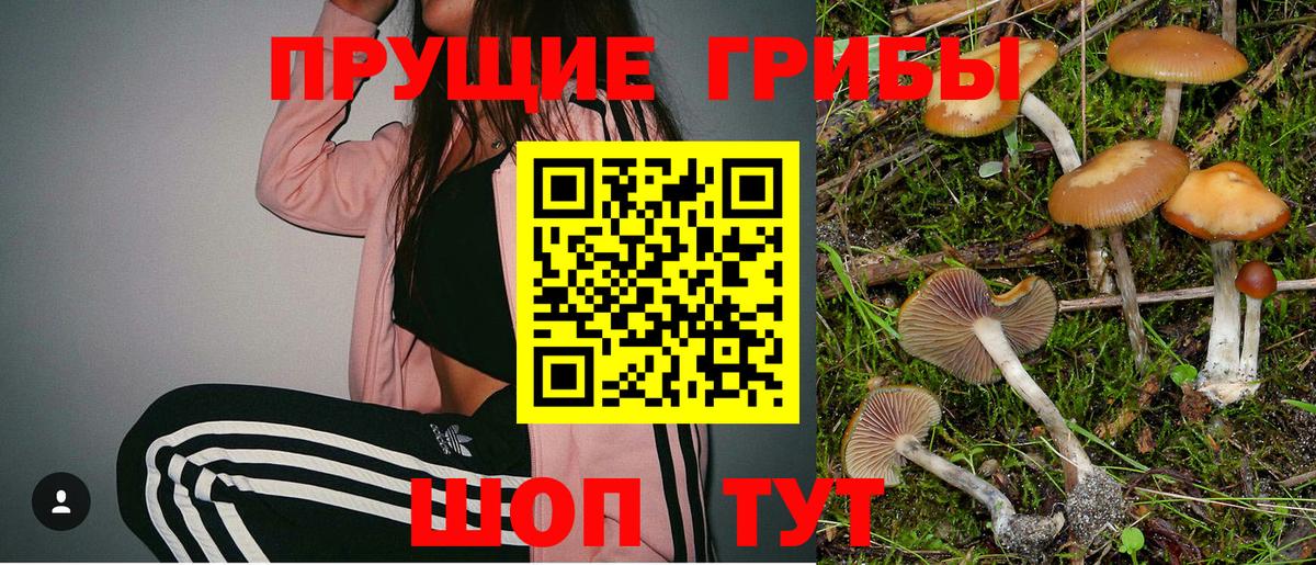 Галлюциногенные грибы GOLDEN TEACHER Усть-Кут